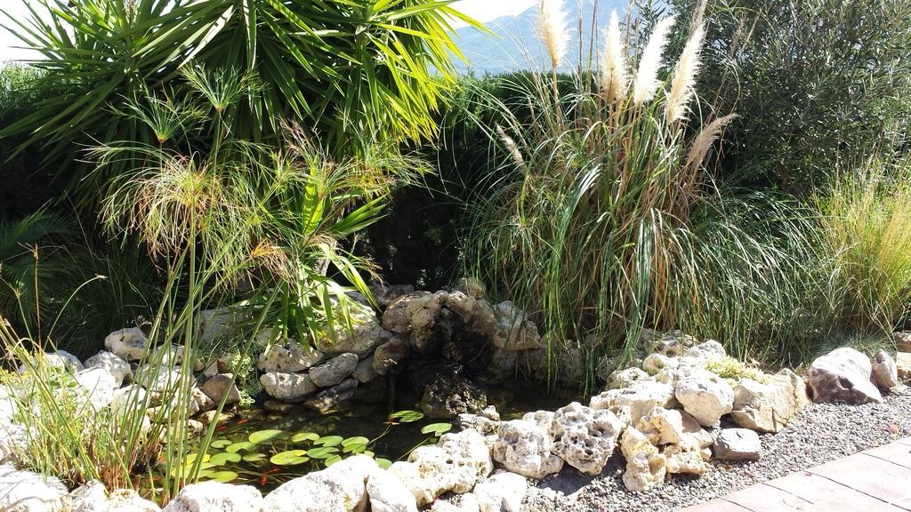 唐卡洛斯之家住宿加早餐旅馆 阿尔豪林格朗德 外观 照片